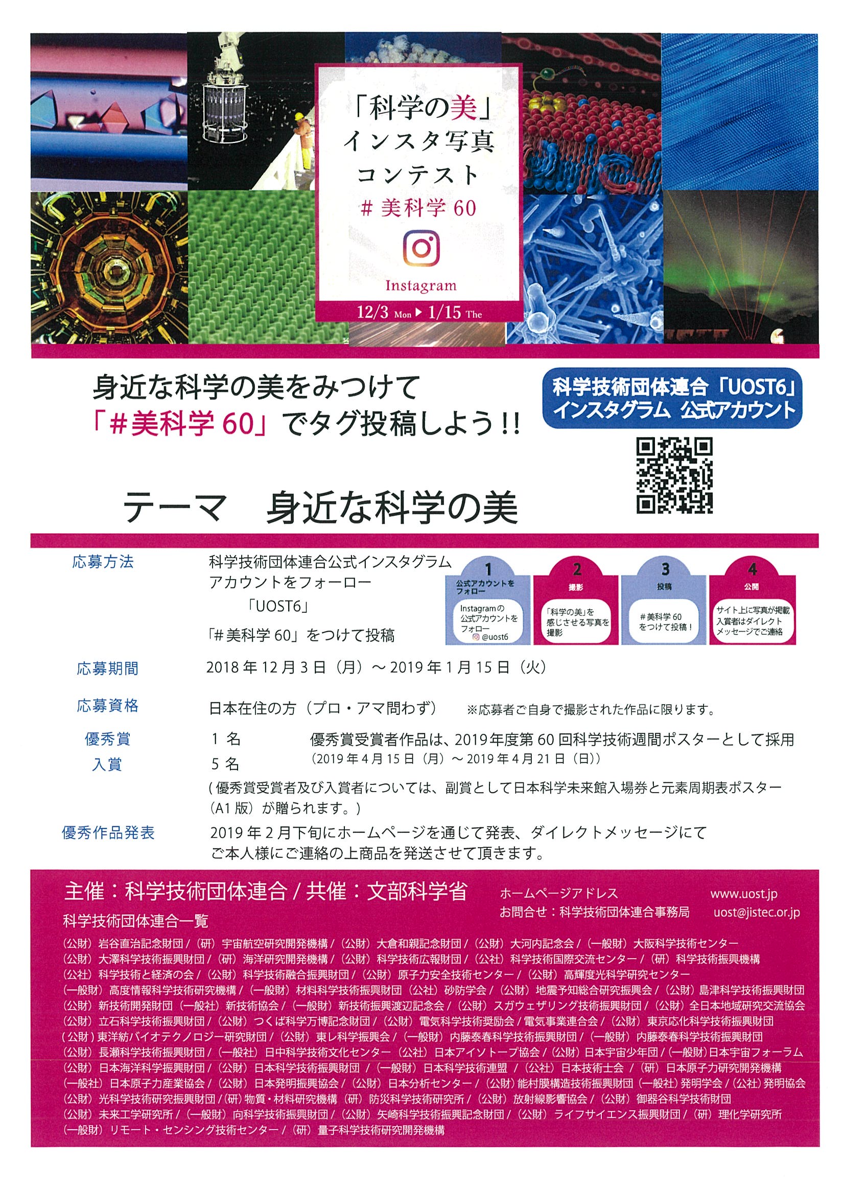 forumchirashi